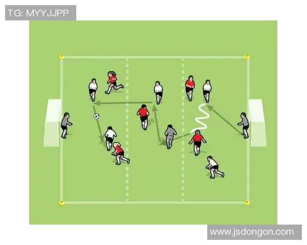 杭州足球队战术解析：从阵型到执行的全面剖析与展望